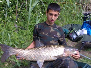 Ingrandisci 