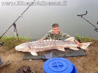 50kg di storione con la mia Shimano Beastmaster Catfish 
