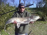 Trota iridea al lago del Grillo