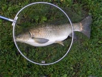     Pesca dagli scogli di bordghera ,dopo 3 giorni di vento  