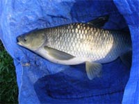     pesca dagli scogli di otranto vista sul mare immacolato  