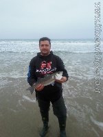 Anapi  -Spigola con canna anyfish anywhere