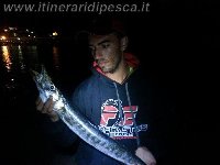 Porto di Forio ad Ischia - Cuda di 1.8kg