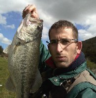 Marina di Ragusa: dentice a traina