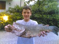     Belllissimo lucioperca!!!2.6kg  