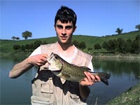     black-bass  