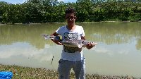 Borgo Tossignano - Lago di Riviera - Storione a carpfishing