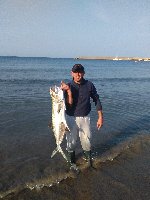 Bosa Marina - Pesca a surf casting con leccia amia finale