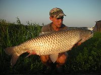     Carpa 9.5 kg  