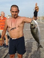 Canna bolognese Colmic per questa orata di oltre 2kg a Fiumicino