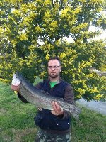 Canna Shimano Catana tr per le big del Mammut