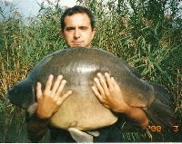 Carpa a specchi di quasi 30kg sul lago di Pusiano