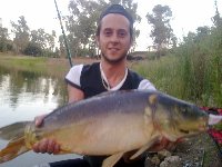     Carpa Koi di 3kg al lago Manzolini  