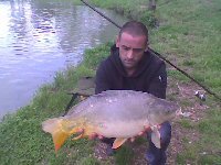 Carpa di oltre 5kg a bolognese