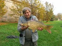 Gobione in torrente Terdoppio