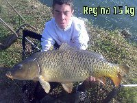 Carpa regina di 15kg al lago le Palme