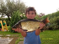 Tinca al fiume tevere