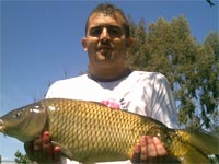     Carpa in lago 2  