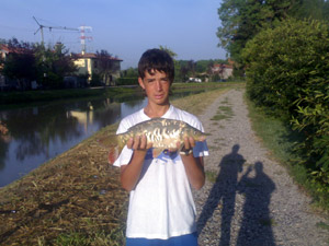     Carpa da 5,5 sul Brenta  