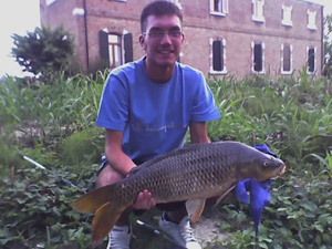     Carpa a specchi di 2,5 kg  