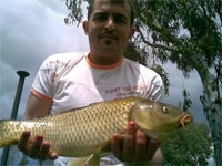     Carpa in lago 2  