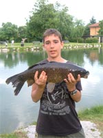     CARPA REGINA 6,5-7 kg  