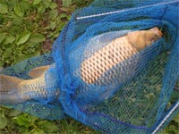     pesca dagli scogli di otranto vista sul mare immacolato  