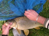     pesca su fondale sabbioso  