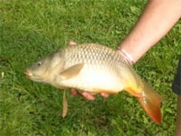     Pesca dagli scogli di bordghera ,dopo 3 giorni di vento  