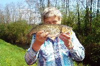 Luccio di quasi 10kg sul fiume Drava