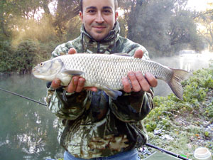     Carpa regina di 8,5 kg  