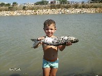     Il mio primo persico reale al lago di Corbara  