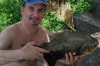 Cachama record di lago