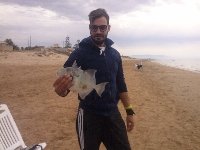 Come pescare il pesce balestra da riva