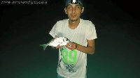 Coreano come esca saraghi ed orate in arrivo per Michele