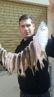 Daiwa tournament pro surf 200gr per queste mormore palermitane