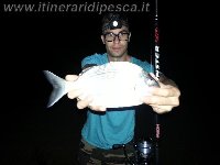Donnalucata - Sarago di 500gr per Sergio