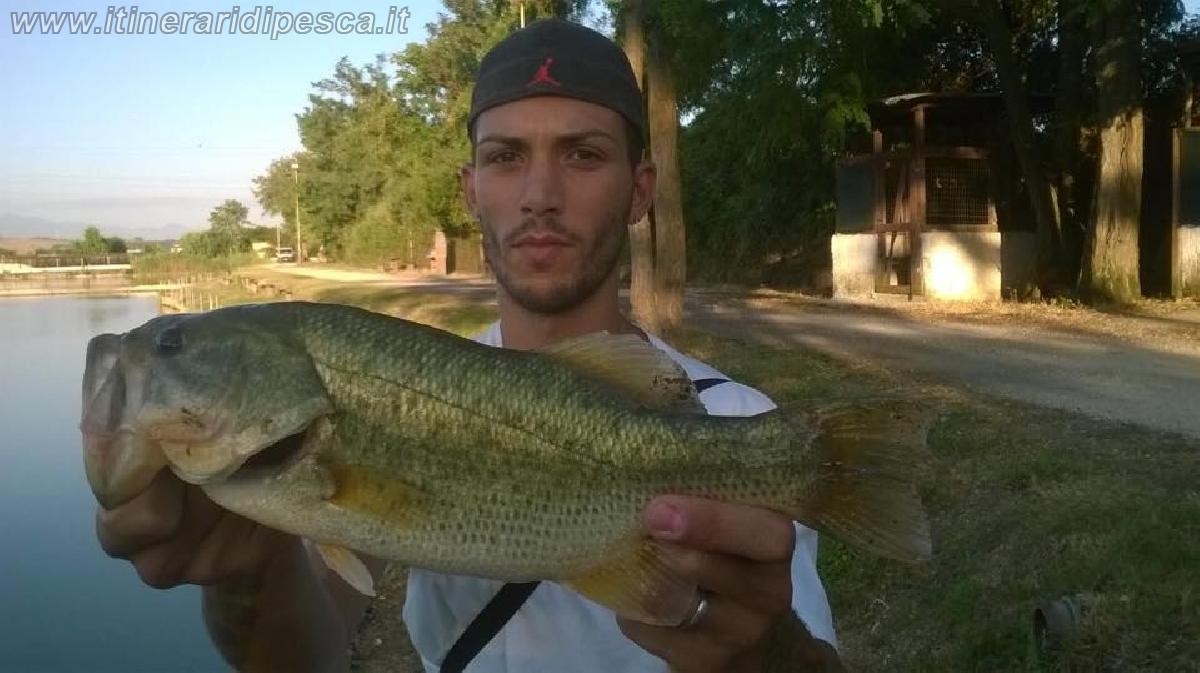 Dove Pescare Black Bass A Roma Mirko Al Lago Le Palme Al Tramonto