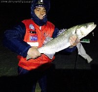 Esca calamaretto non perdona spigola di oltre 3kg a lido San Giovanni