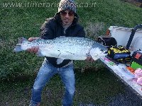 Quasi 9kg di Carpa con un pica giallo. Incredibile.