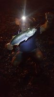 Genova - Spiaggia di Voltri - Pesca al pesce serra a surf casting