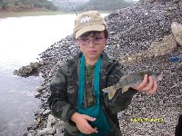 Cefalo in foce sul fiume Marta