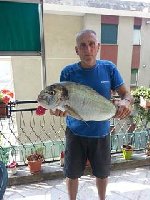 Balestra a Voltri con Shimano Boat Beastmaster