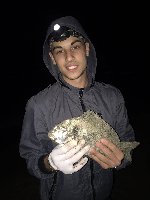Ladispoli - Torre Flavia - Orata a surfcasting