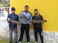 Trota salmonata di oltre 3kg