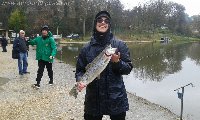 Laghi delle colline big trout di 3kg con doppia camola