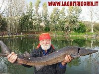 Laghi di Trigoria trota gialla con premio