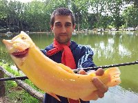 Laghi di Trigoria - Storione di 7kg con lombrico