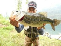 Lago di Mergozzo - Black bass con spinner bait