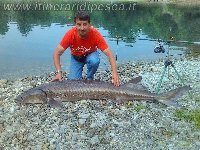 Lago Il Pesorto - Storione da 50kg 